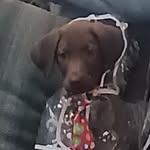 hank - @hank__torres - Instagram