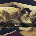 Hank - @hank_vasquez - Instagram