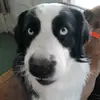 Hanks Adventures - @hanks.adventures - TikTok