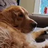 Hanks.Adventure - @hanks.adventure - TikTok