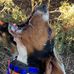 Hank Walker - Facebook