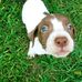 Hank Wallace - Facebook