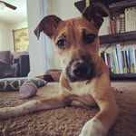 Hank Wallace Wilson - @hank_wallace638 - Instagram
