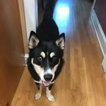 Hank Mitchell Waller - @livinglikehank - Instagram