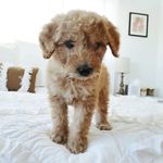Hank Warner - @hank_warner - Instagram