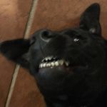 Hank Warner - @phranc450 - Instagram