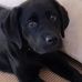 Hank Warner - Facebook