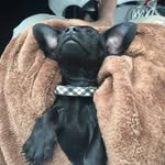 Hank Rohrbach - @hank_wick_36 - Instagram