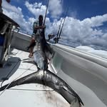 Hank Williamson - @hank.williamson.526 - Instagram