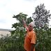Hank Williamson - Facebook
