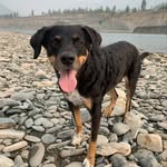 Hank W. Wolfe - @hankwolfe_ - Instagram