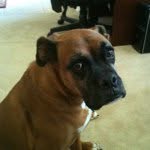 @hank_wolff - Instagram