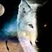 Hank Wolf - Facebook