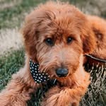 Hank Woods - @mr.hank.woods - Instagram