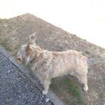 Hank Woods - @hank_woods - Instagram