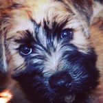 Hank Wright - @okc_hank - Instagram