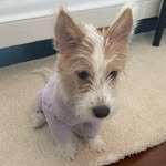 HANK - @hank_says_hank - Instagram