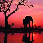 Hanlie Smit - @smithanlie - Instagram