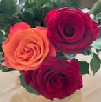 Hanlie Smit - Facebook