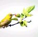 Hanmin Ko - Facebook