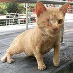 Hanmin Lee - Facebook