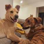Hanmin Lee - @gldjfhghan - Instagram