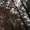 hanna - @hanna.andersson04 - TikTok