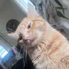 No - @hannahburch6536 - TikTok