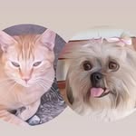 💛-Hanna-Lyon- Os primos mais fofinhos do insta 💛 - @hanna.cheetos_lyon.cat - Instagram