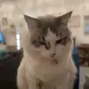 Hanna - @hanna.wowfactor - TikTok