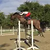 Hannah Fleming - @hannahfleming92 - TikTok
