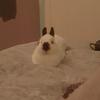 Hannah - @hannah.hendricks - TikTok