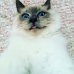 Hanna - @_hanna_jensen_ - Instagram
