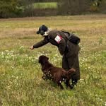 Hanna Jensen - @skogsnyckelns_kennel - Instagram