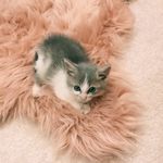 Hanna.mayer.21 - @hanna.mayer.21 - Instagram