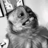 Hanna Ramirez - @hanna__238 - TikTok