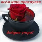 Ханна - @hannarustamova82020 - Instagram