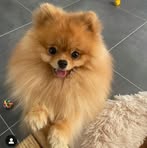 Hanna Sims - Facebook