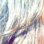Hanna Singh💕 - @hanna_singh - Instagram