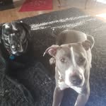 Hanna Wiggins - @t.t.k_r.3geem - Instagram