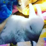 Hannah Ackerman - @hanna_chan98 - Instagram
