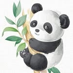 Hannah Ackerman - @the.journalingpanda - Instagram