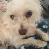 AddyHannah03 - @addyhannah03 - TikTok