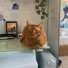 Hannah - @hannah.akinyi - TikTok