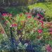 Hania Anders - Facebook