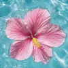 Hannah Anders - @hannah.anders0 - TikTok