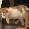 i don't use this - @hannah._.bain - TikTok