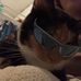 Hannah Bearden - Facebook