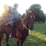 Hannah Batten - @barrelracing_00 - Instagram