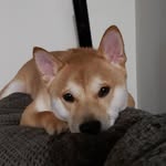 Hannah Beckett - @not_hannah_beckett - Instagram